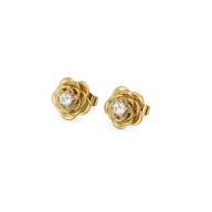 Blush Rosé - Lab Diamond Solitaire Earrings thumbnail 1
