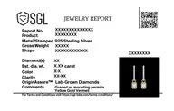 Drop & Go – Lab Diamond Modular Hoop thumbnail 4